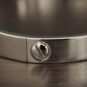 Cartier Love Bracelet