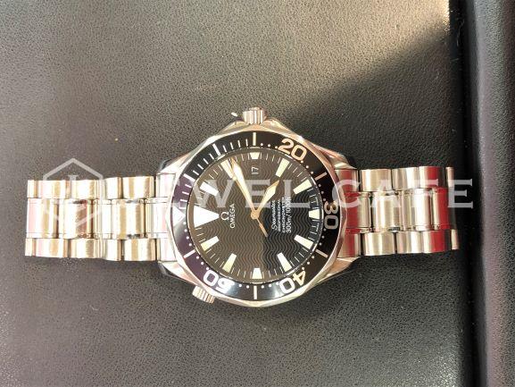 Omega Seamaster Professional
