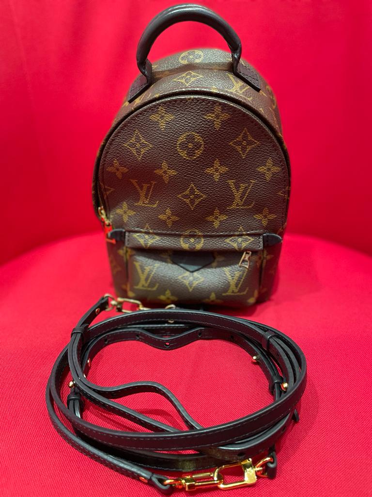 Louis Vuitton Palm Spring Monogram bag
